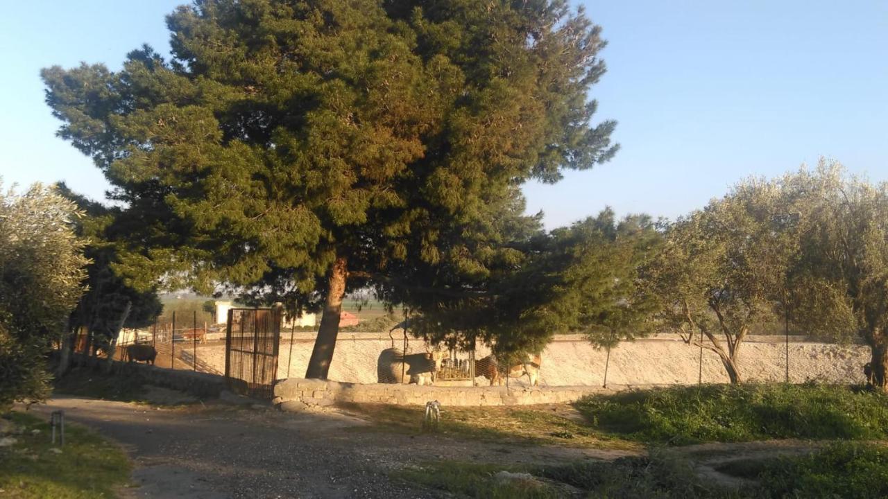 Il Giardino Del Sole Villa Agnone Bagni Luaran gambar