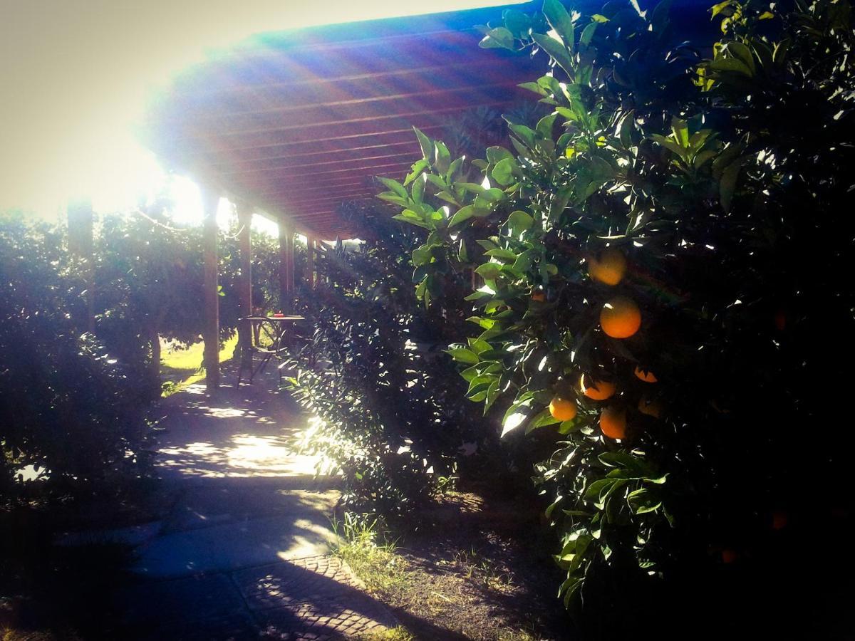 Il Giardino Del Sole Villa Agnone Bagni Luaran gambar