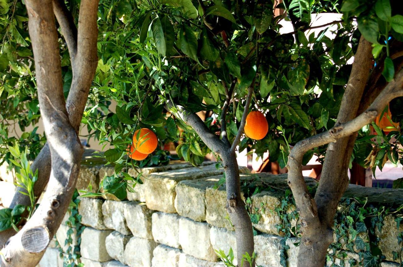 Il Giardino Del Sole Villa Agnone Bagni Luaran gambar